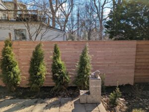 Douglas Fur Fence with Tree Cutout