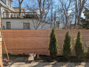 Douglas Fur Fence with Tree Cutout